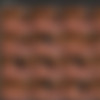 SocietySM Part 1/Screens/2004/03072004 - Bella Star